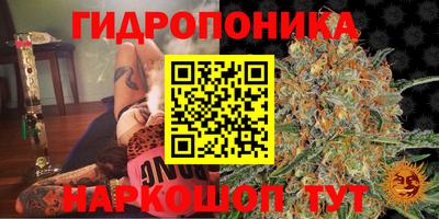 мдпв Наро-Фоминск
